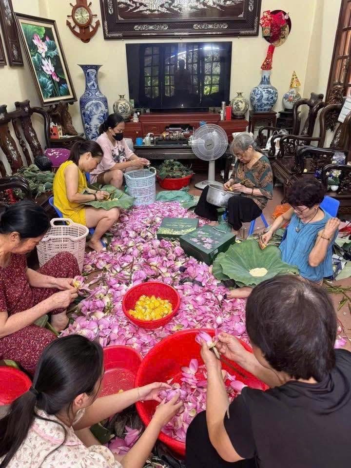 Cả nhà cùng làm giữa mùa sen